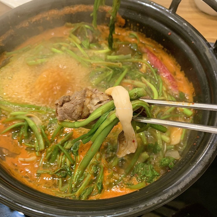  등촌 샤브칼국수 내돈내산 솔직후기ㅣ대명동 명덕역 맛집 추천