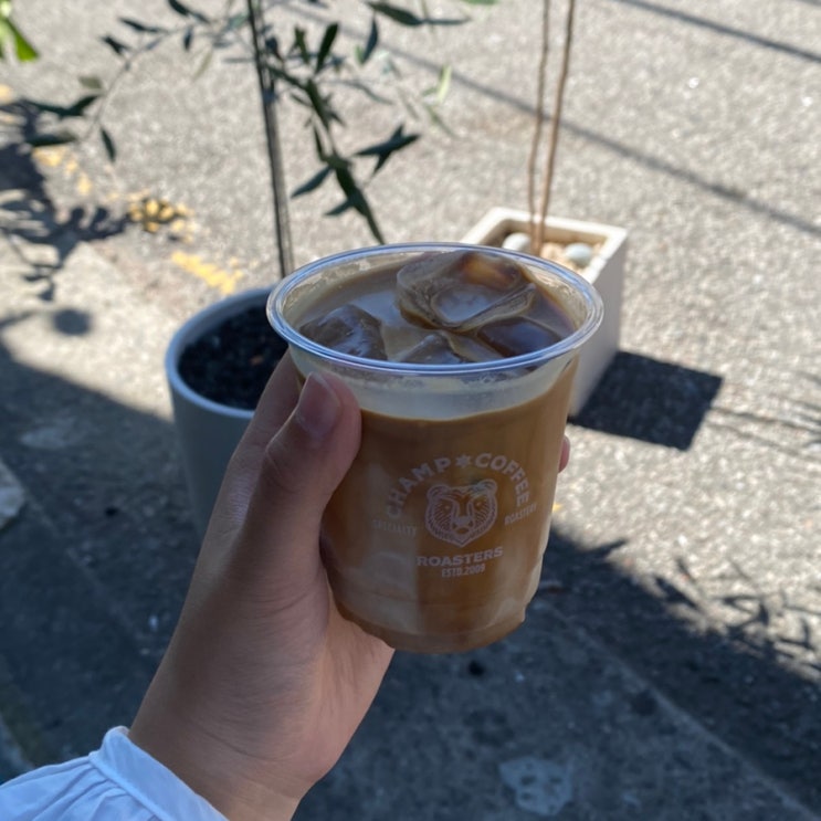  챔프커피 제2작업실 고소한 플랫화이트 맛집