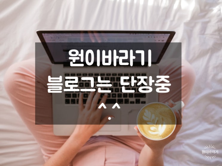  원이바라기 블로그 단장 중 공지