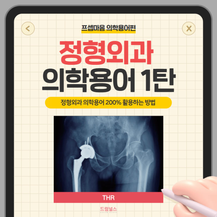 정형외과 의학용어 1탄 | BMD THR buttock