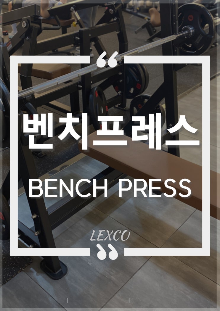  [조피티짐/장안동피티/장안동헬스] 가슴 운동 벤치프레스