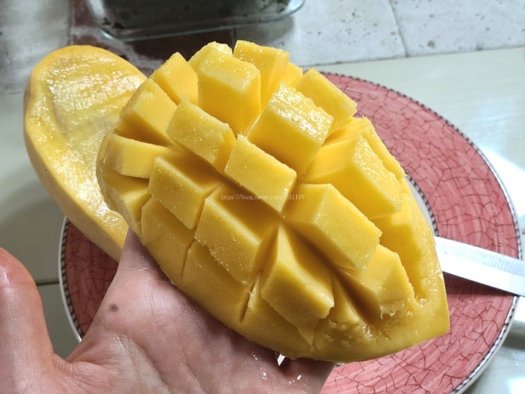 그렇게 유명한 마담주 애플망고, 망고 후기