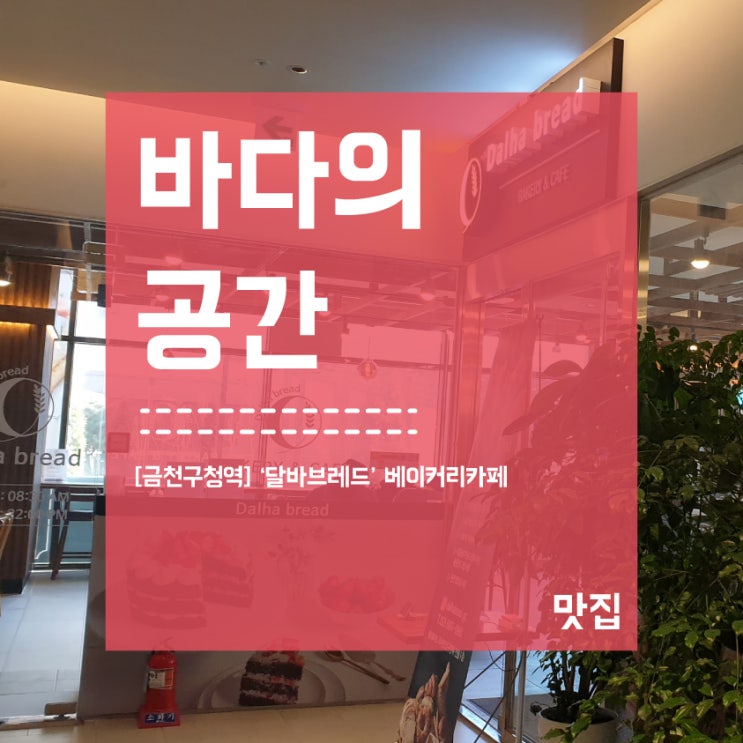  [금천구청역] 달하브레드 베이커리카페 연중무휴! 완전 추천!