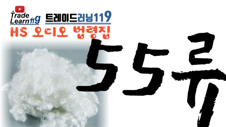  [HS 55류] 어려운 HS 들으면서 외우자!! 2022년 HS, 관세율표 오디오 법령집_55류