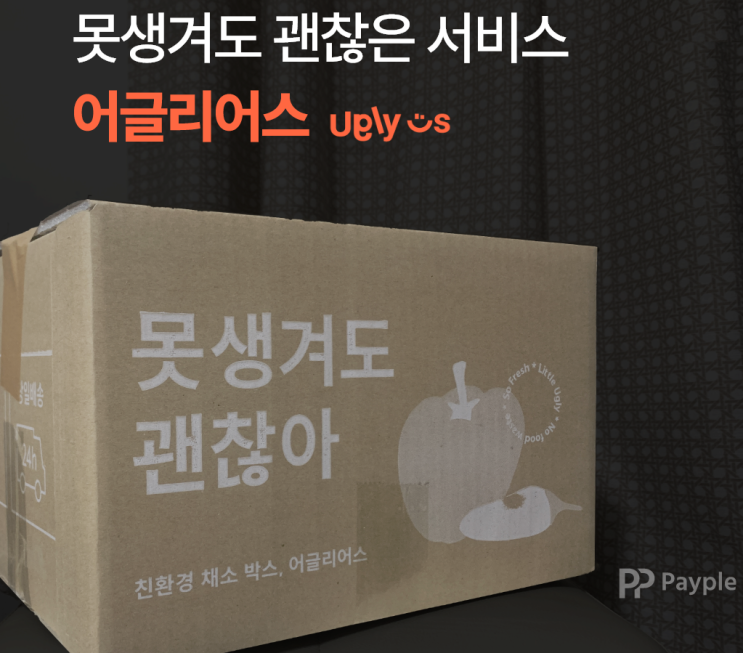  <페이플러의 리얼후기> 어글리어스 편