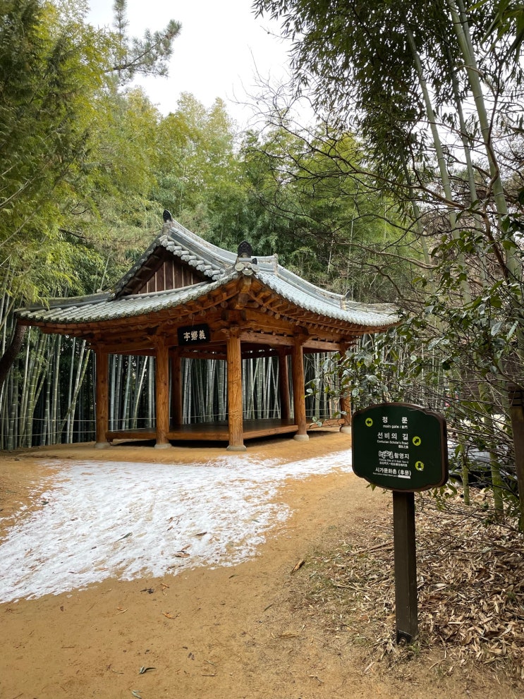 전남 화순&담양 가족여행 리뷰! (담양 추억의골목 / 명가정 / 죽림원)