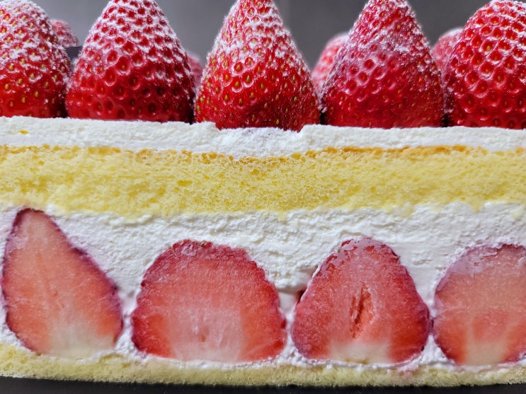 [케이크] 22년 델리카한스, 딸기 케이크 원탑 굳히기