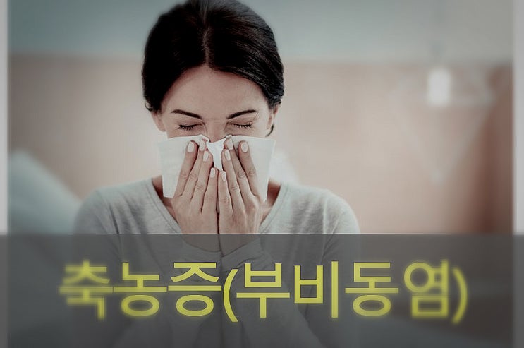  축농증( 부비동염) 원인과 증상, 예방, 좋은 음식