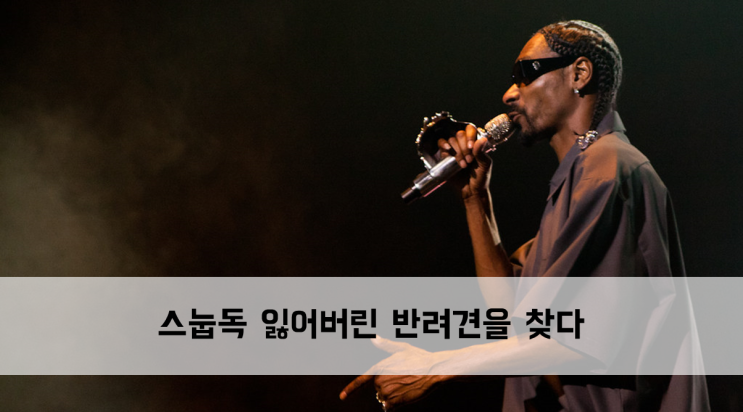  [News] Snoop Dogg(스눕독) 잃어버린 반려견을 찾다