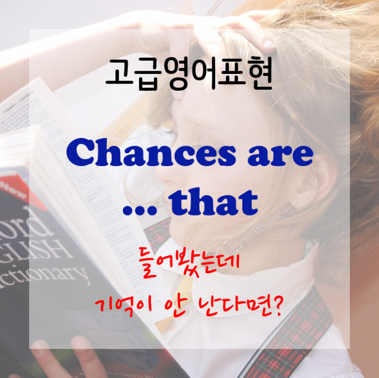  [고급영어표현] Chances are that ~할 것 같다
