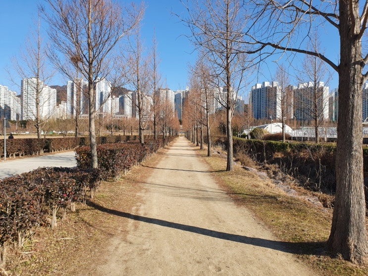  화명생태공원 산책과 운동 동시에 가능한 곳