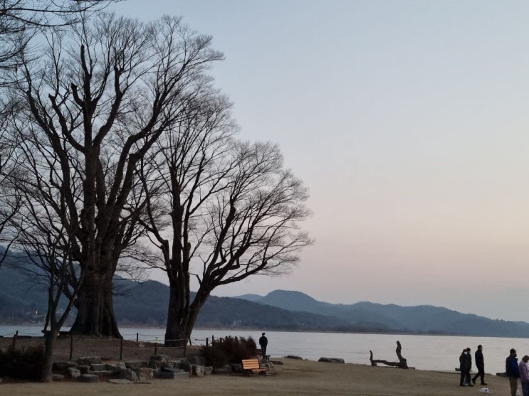  데이트 명소, 애견 산책하기 좋은 두물머리