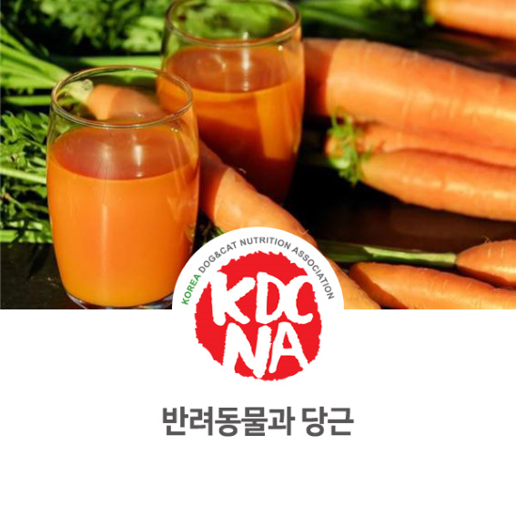 정유경 펫영양사가 알려주는 반려동물과 당근 [한국반려동물영양협회/펫푸드자격증/반려동물영양전문강사/강아지자연식/강아지화식/펫푸드수업/익산/대전/광주/당진/홍성/공주_976]