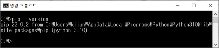 파이썬 PIP (Package Installer for Python)