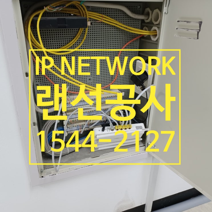  사무실 확장 이전 추가 랜선공사
