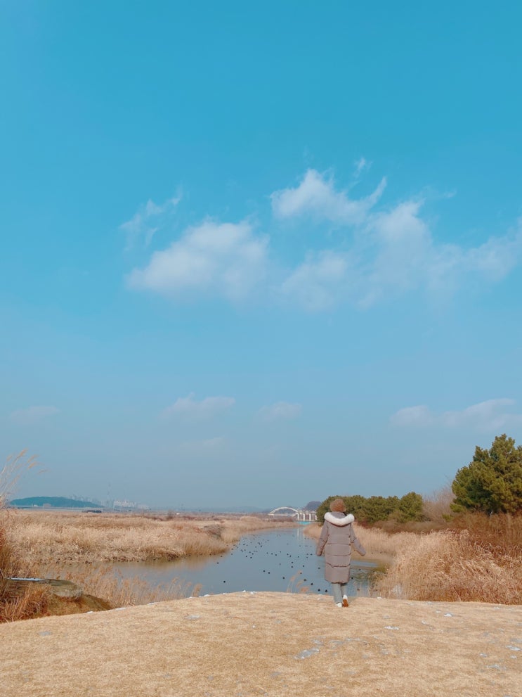 겨울산책갈만한곳 시흥갯골생태공원 찬바람 맞으며 나들이~ 겨울산책갈만한곳 시흥갯골생태공원 찬바람 맞으며 나들이~