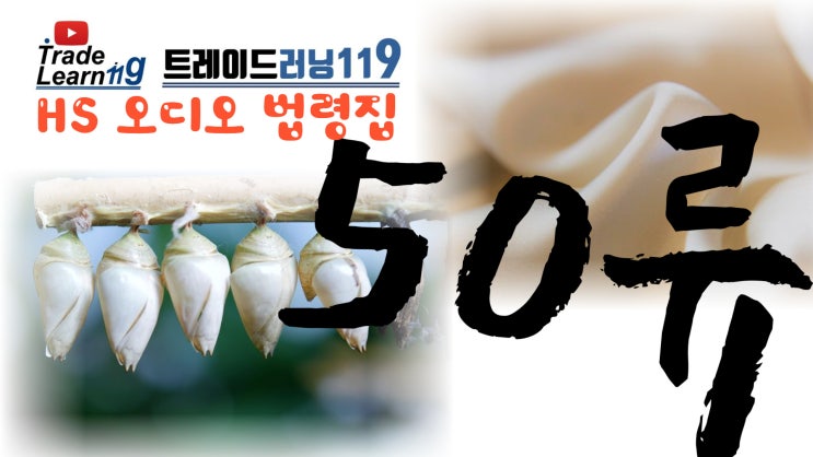  [HS 50류] 어려운 HS 들으면서 외우자!! 2022년 HS, 관세율표 오디오 법령집_50류