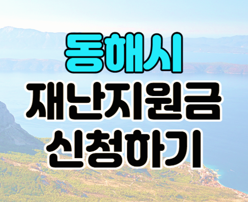 동해시 긴급재난지원금 20만원 대상과 온라인 오프라인 신청방법 동해시 긴급재난지원금 20만원 대상과 온라인 오프라인 신청방법