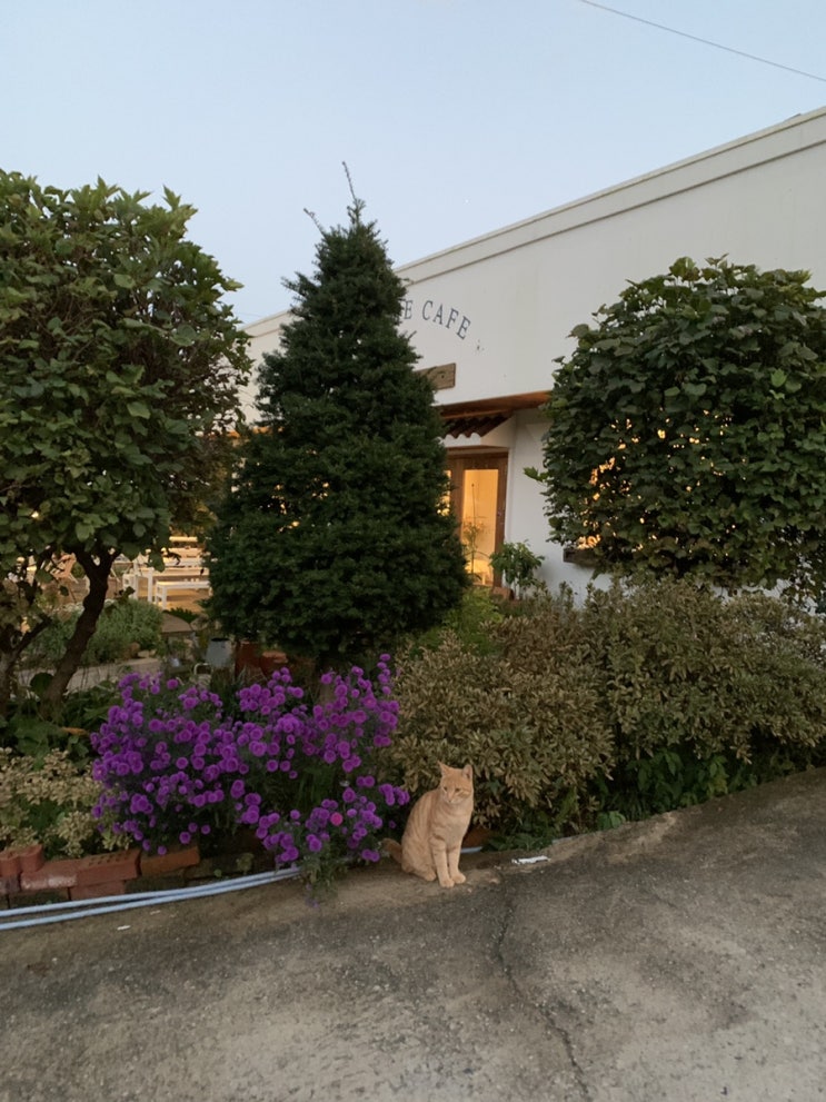  안동 야외 정원 감성 카페, 그녀의홈카페
