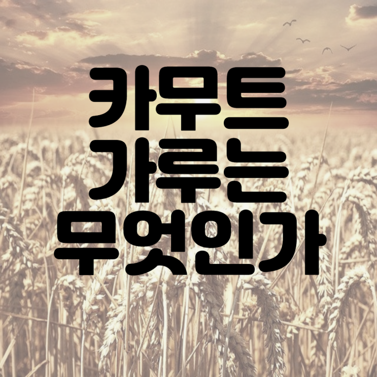  카무트가루는 무엇인가(+효능,부작용)