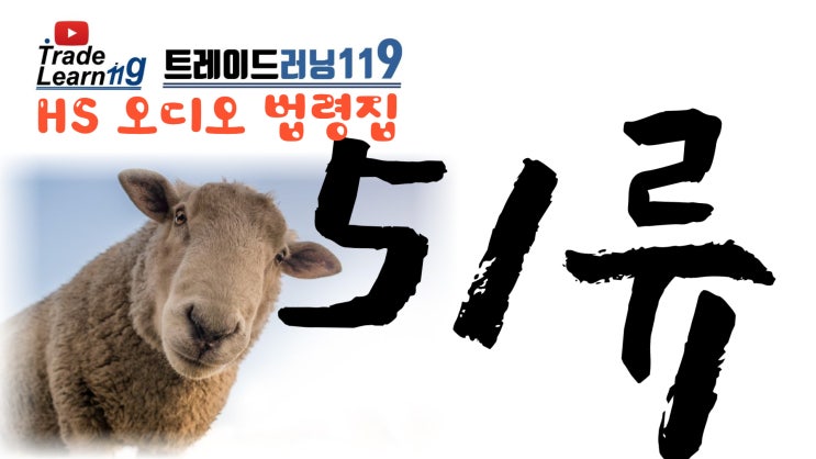  [HS 51류] 어려운 HS 들으면서 외우자!! 2022년 HS, 관세율표 오디오 법령집_51류