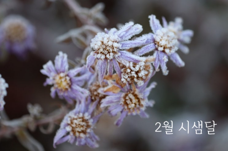  안녕, 시샘달