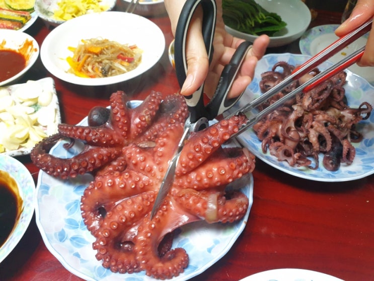  무수분 문어숙회 주꾸미숙회 맛있게 만드는 법 쭈꾸미해물라면 봄제철해산물요리