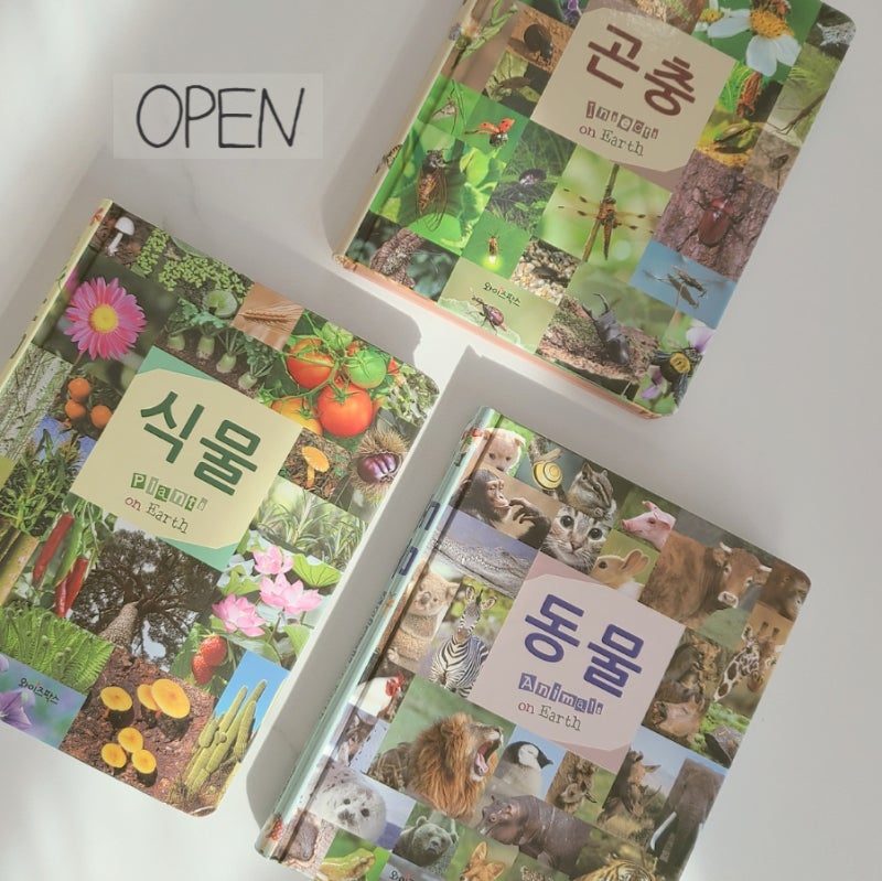 블로그 후기 사진