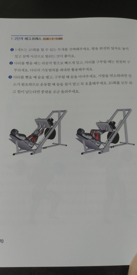  명절 후 다이어트 - 핏블리의 헬스 다이어트 전략집