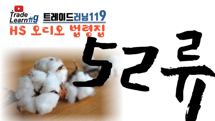  [HS 52류] 어려운 HS 들으면서 외우자!! 2022년 HS, 관세율표 오디오 법령집_52류