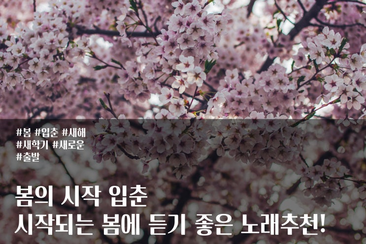  봄의 시작 입춘 시작되는 봄에 듣기 좋은 노래추천!