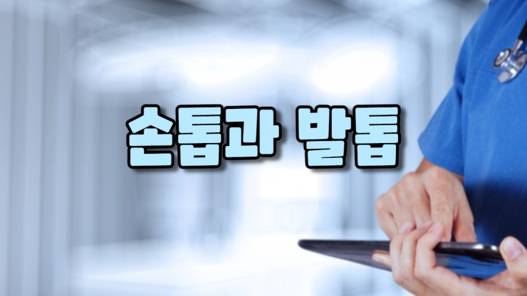  손톱과 발톱