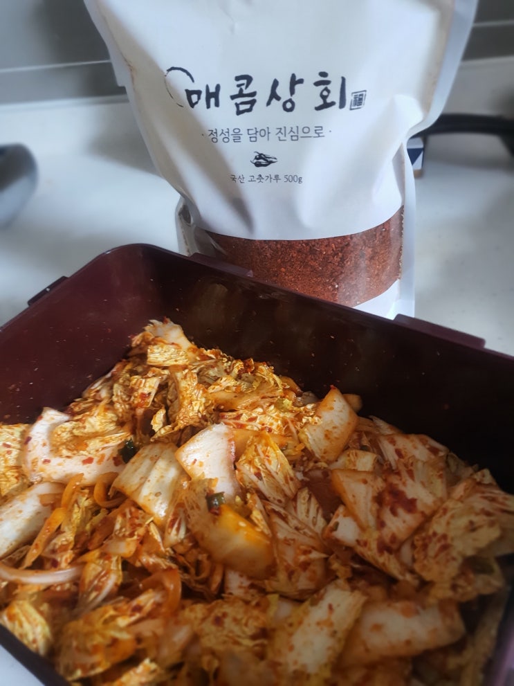  요린이의 봄동겉절이와 돋나물 무침 도전기 feat. 만능양념