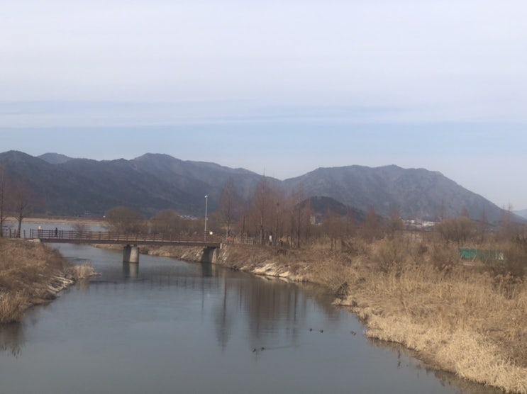  화명동 수학학원 중등수학 잘하는 곳은 없나요?
