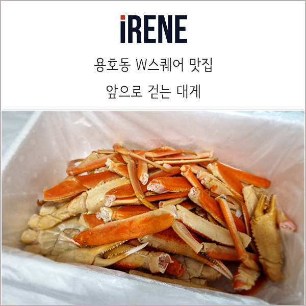  용호동 W스퀘어 대게 맛집 :: 앞으로 걷는 대게 (Feat. 완전 대박집)