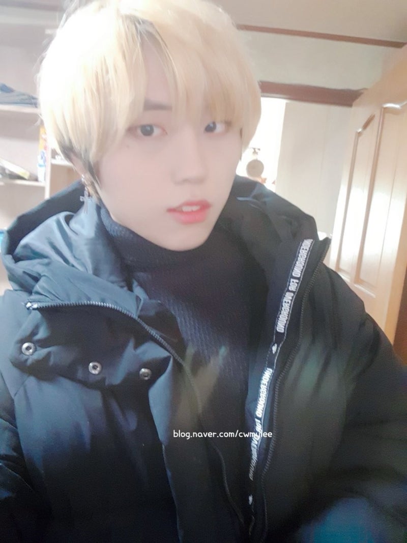 박지 작가 나이 프로필 ⭕️집 위치 차 자동차 ⭐️얼굴 예쁘다고 소문난 남자 웹툰 만화가 작품활동 필모그래피 : 네이버 블로그