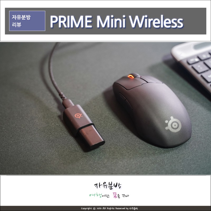 무선 게이밍마우스, 스틸시리즈 Prime MINI Wireless