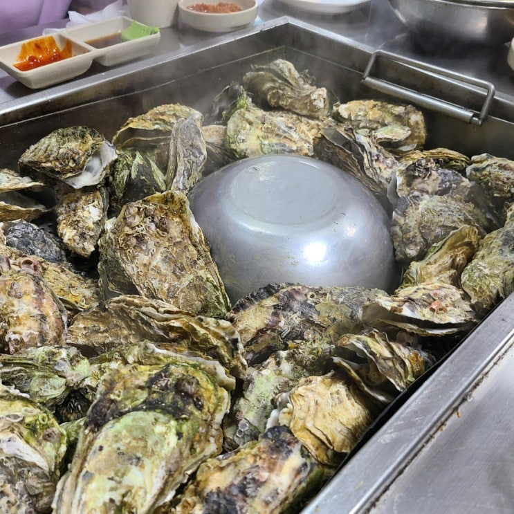  쯔양님도 다녀간 굴찜 맛집 행당동 굴과찜사랑