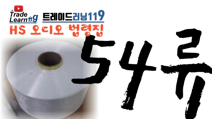  [HS 54류] 어려운 HS 들으면서 외우자!! 2022년 HS, 관세율표 오디오 법령집_54류