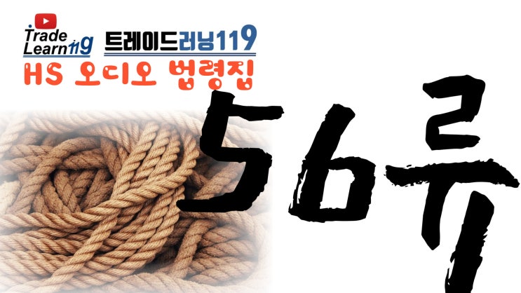  [HS 56류] 어려운 HS 들으면서 외우자!! 2022년 HS, 관세율표 오디오 법령집_56류