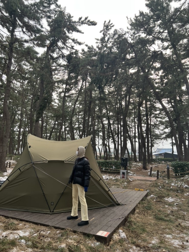  강릉 연곡솔향기캠핑장 (A104번 데크)