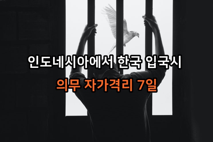  해외에서  한국입국시 7일간 격리 - 2022년 2월 4일부터