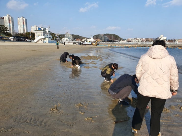  부산 기장일광해수욕장 설날 바닷가 풍경