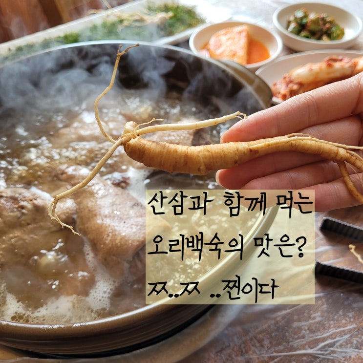  동학사맛집 가막골에서 계룡산백숙으로 몸보신해여 약속(국물이 찐)