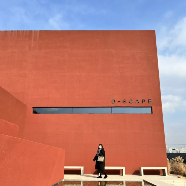  [일산 인스타 감성 카페] 숨겨진 디저트 맛집, 디스케이프 D-SCAPE