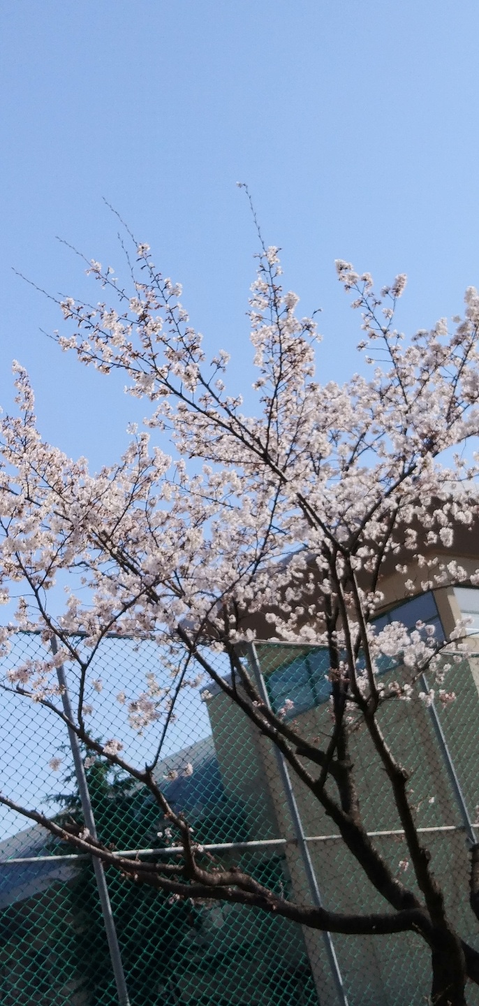  새해의 첫 절기! 오늘은 봄이 시작되는 입춘이에요. 봄! 하면 먼저 떠오르는 건 무엇인가요?