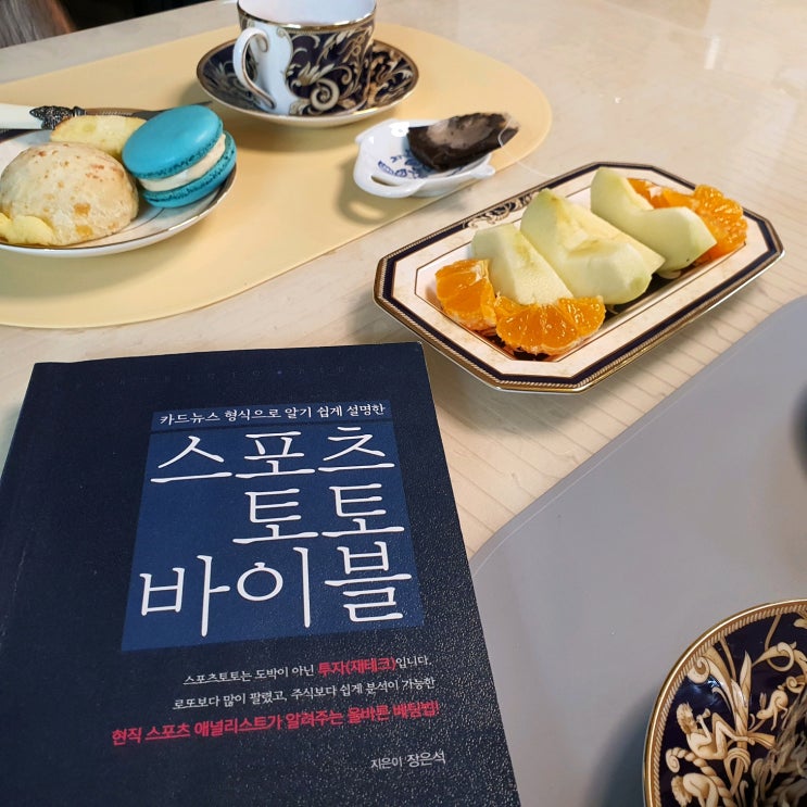  스포츠토토 프로토승부식 11회차 무료 경기 추천 클럽월드컵 아프리카네이션스컵