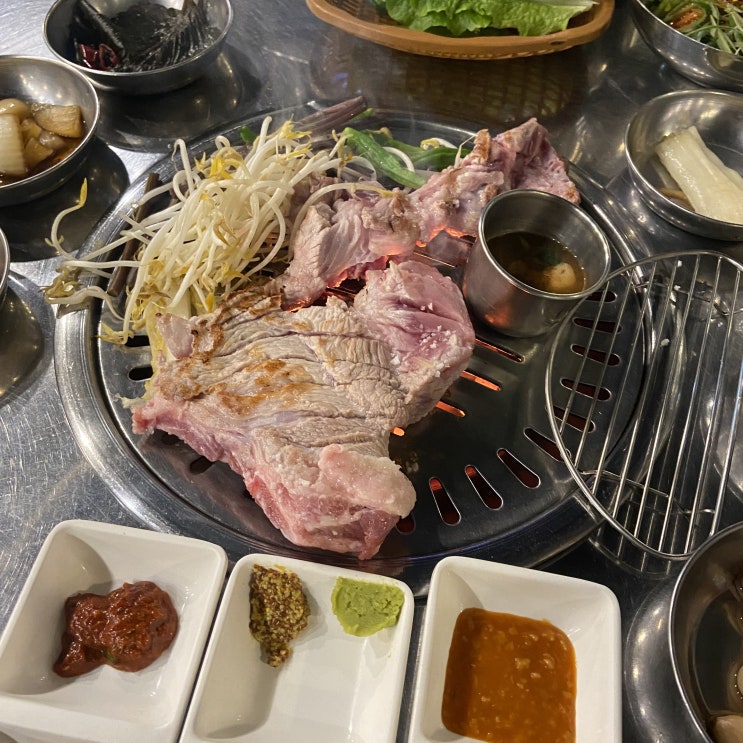 서귀포 중문 맛집 모메든 식당 / 제주 애견동반 고깃집