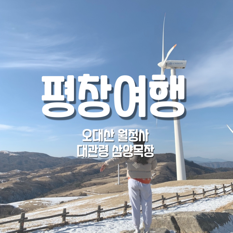  [평창가볼만한곳] 평창여행: 오대산 월정사-대관령 삼양목장/국내겨울여행지추천/강원도가볼만한곳