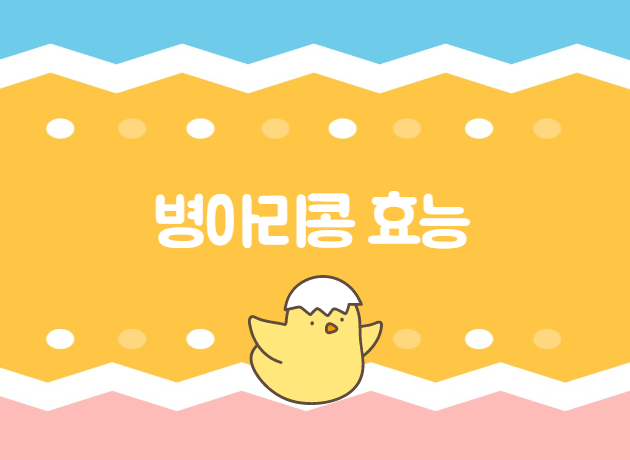  병아리콩 효능 당뇨와 다이어트 걱정 넣어두세요